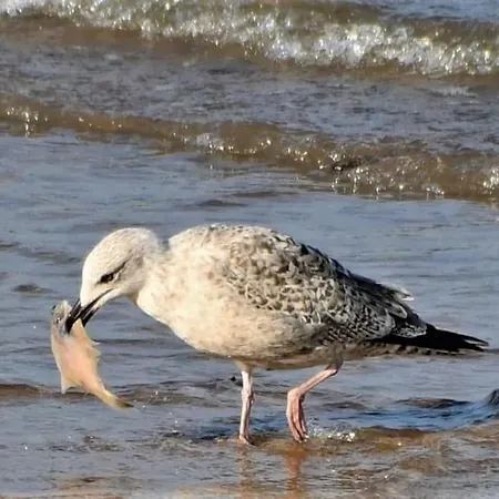 펜션 Charlotte House